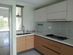 Suites @ Cairnhill (D9), Apartment #470828961